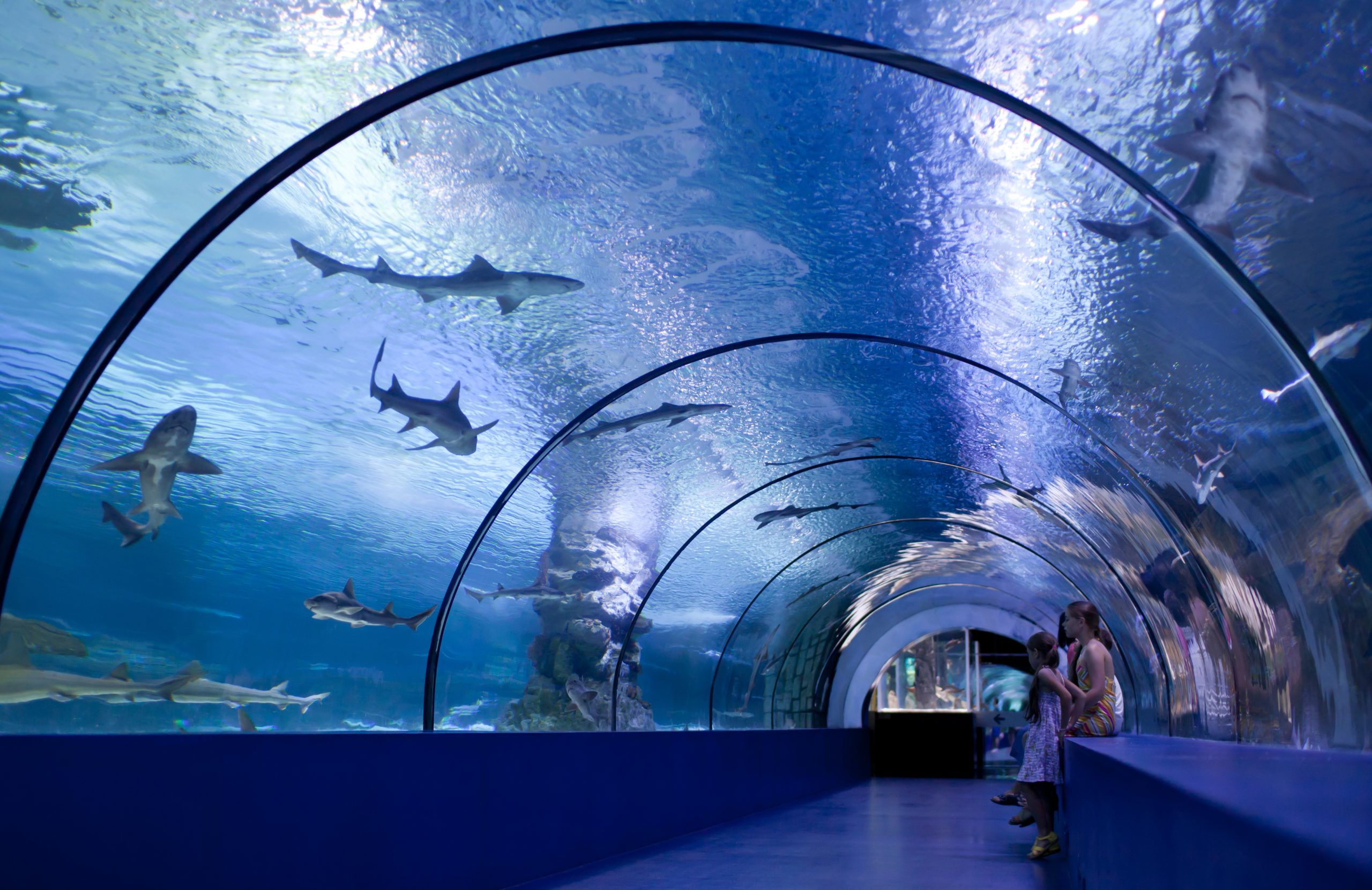 Children inside the tunnel of the oceanarium at the aquarium